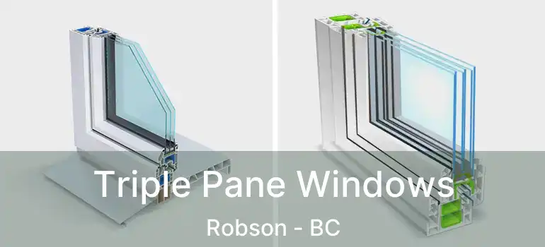  Triple Pane Windows Robson - BC