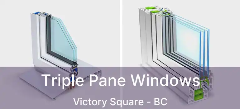  Triple Pane Windows Victory Square - BC