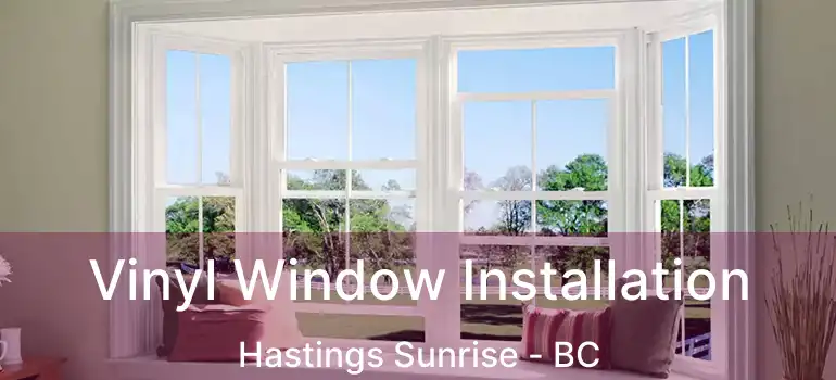  Vinyl Window Installation Hastings Sunrise - BC