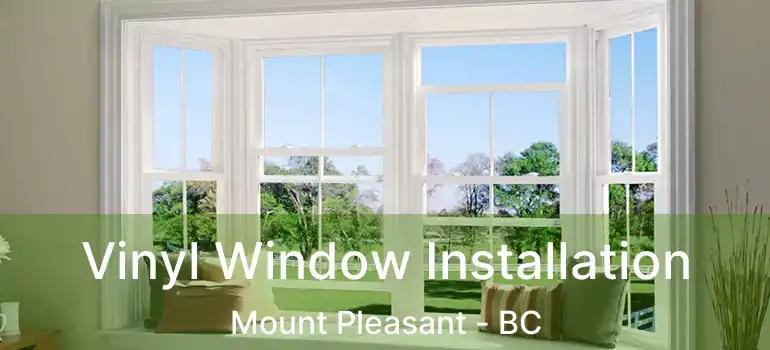  Vinyl Window Installation Mount Pleasant - BC