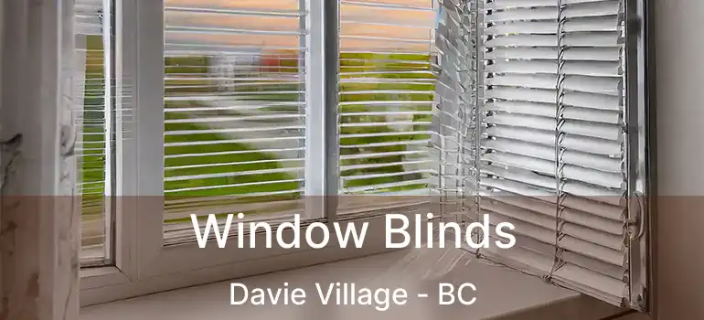  Window Blinds Davie Village - BC