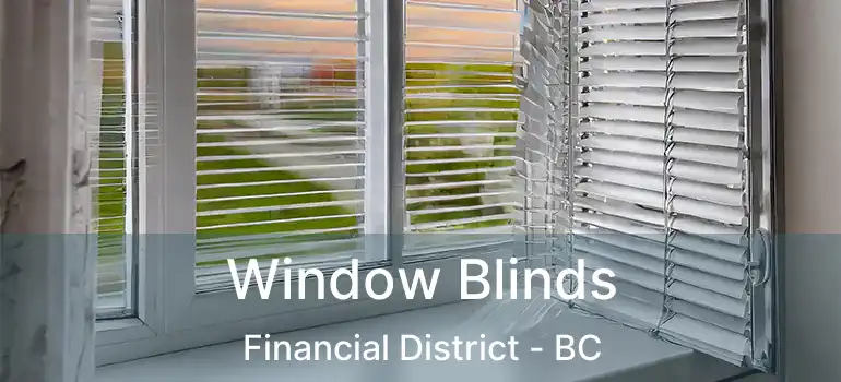  Window Blinds Financial District - BC