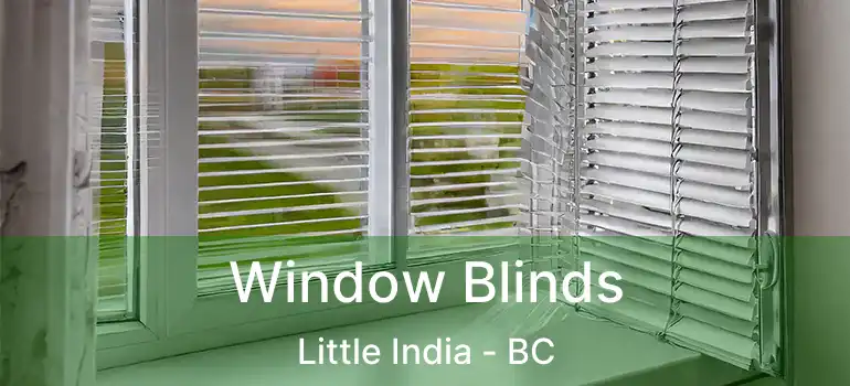  Window Blinds Little India - BC