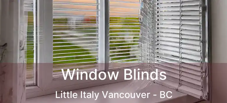  Window Blinds Little Italy Vancouver - BC