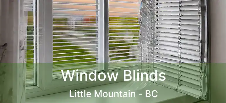 Window Blinds Little Mountain - BC
