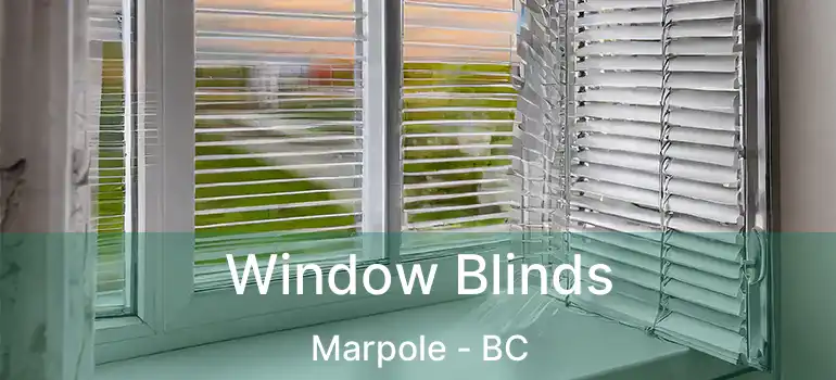  Window Blinds Marpole - BC