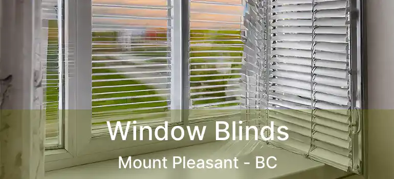  Window Blinds Mount Pleasant - BC