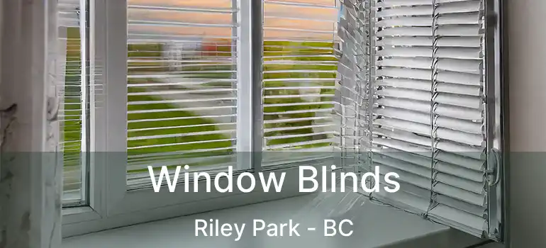  Window Blinds Riley Park - BC