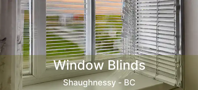  Window Blinds Shaughnessy - BC