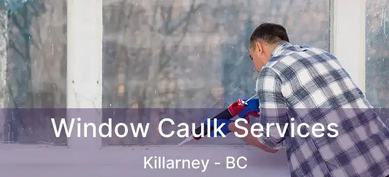  Window Caulk Services Killarney - BC