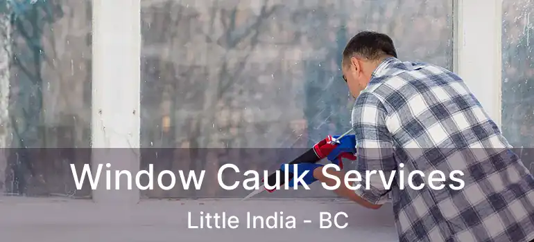  Window Caulk Services Little India - BC