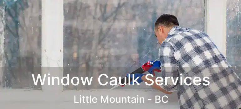  Window Caulk Services Little Mountain - BC