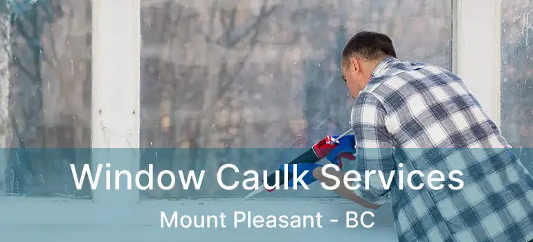  Window Caulk Services Mount Pleasant - BC