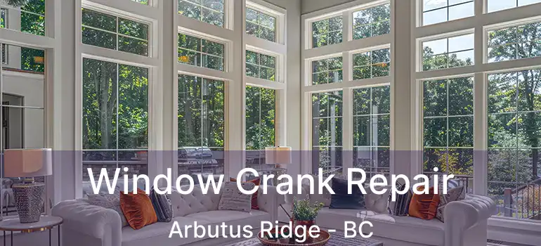  Window Crank Repair Arbutus Ridge - BC