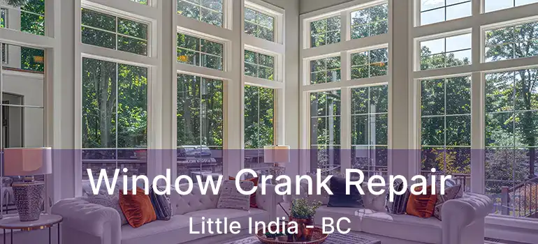  Window Crank Repair Little India - BC