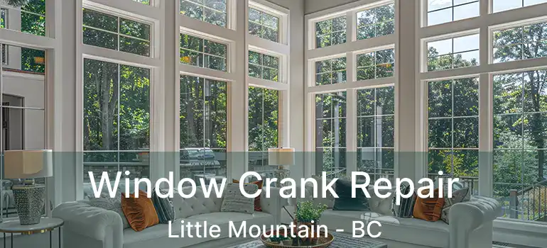  Window Crank Repair Little Mountain - BC
