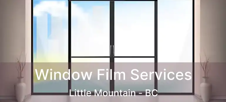  Window Film Services Little Mountain - BC
