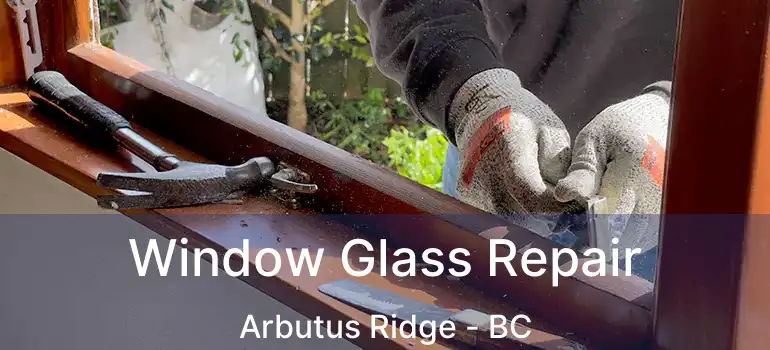  Window Glass Repair Arbutus Ridge - BC