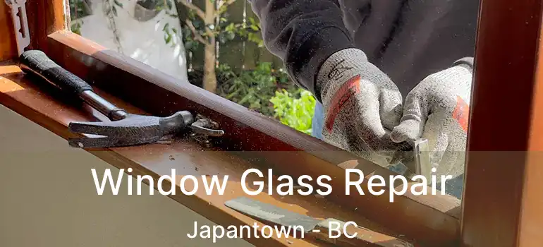  Window Glass Repair Japantown - BC