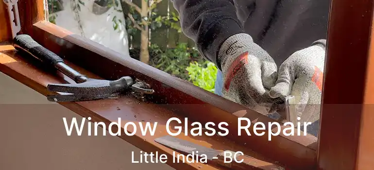  Window Glass Repair Little India - BC