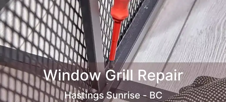 Window Grill Repair Hastings Sunrise - BC