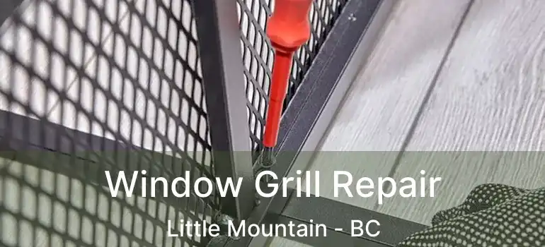  Window Grill Repair Little Mountain - BC