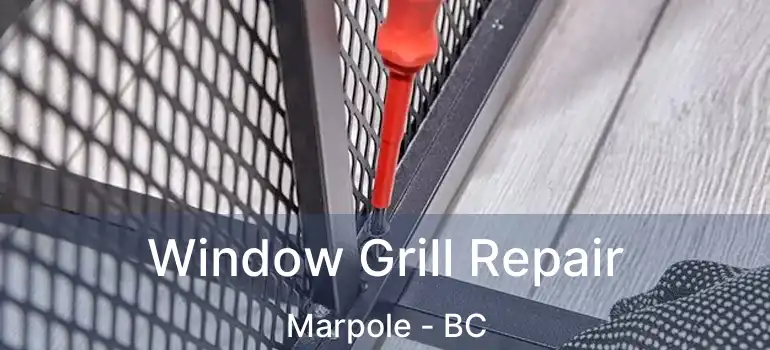  Window Grill Repair Marpole - BC