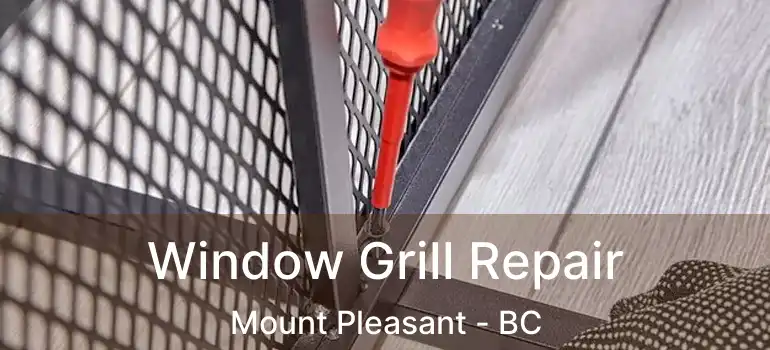  Window Grill Repair Mount Pleasant - BC