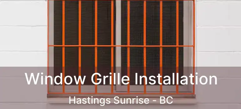  Window Grille Installation Hastings Sunrise - BC
