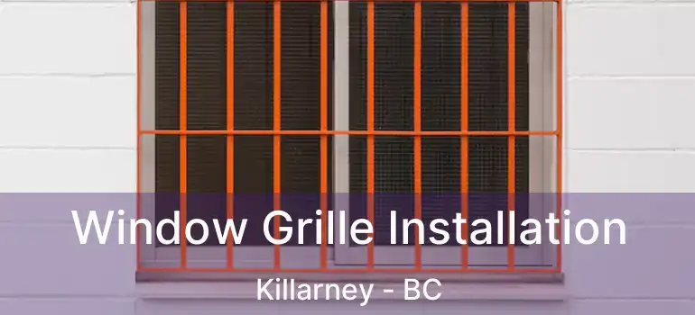  Window Grille Installation Killarney - BC