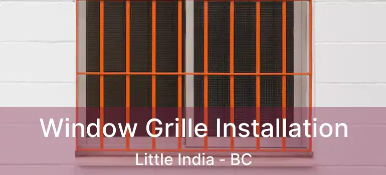  Window Grille Installation Little India - BC