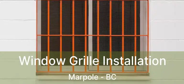  Window Grille Installation Marpole - BC