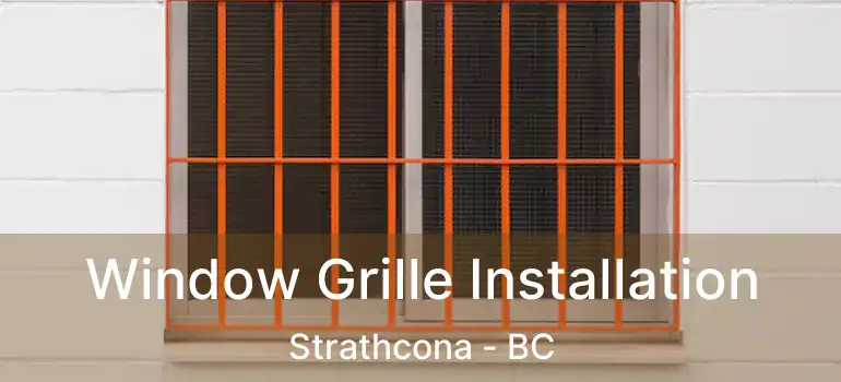  Window Grille Installation Strathcona - BC