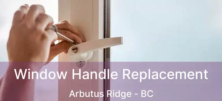  Window Handle Replacement Arbutus Ridge - BC