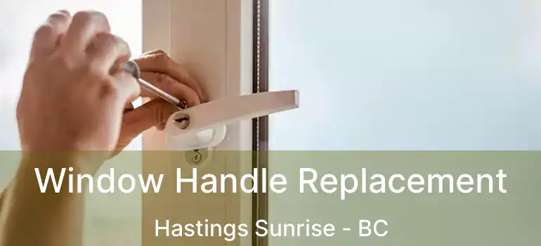  Window Handle Replacement Hastings Sunrise - BC