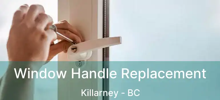  Window Handle Replacement Killarney - BC