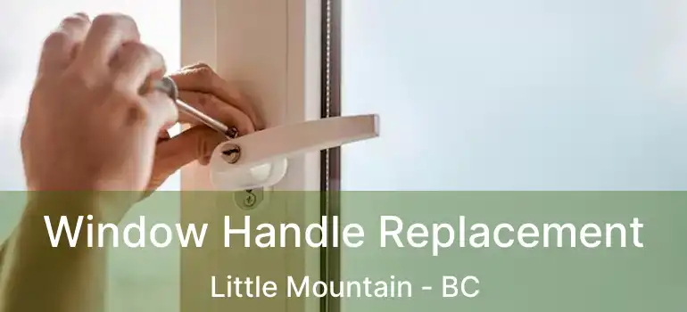  Window Handle Replacement Little Mountain - BC
