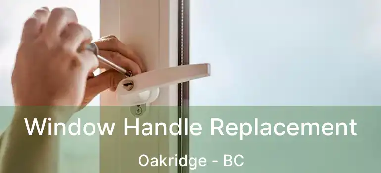  Window Handle Replacement Oakridge - BC