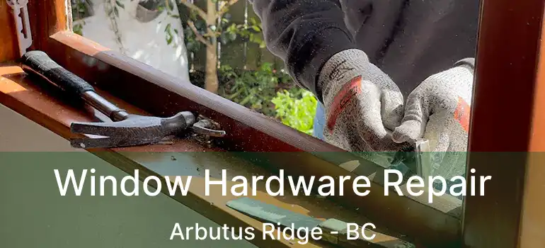  Window Hardware Repair Arbutus Ridge - BC