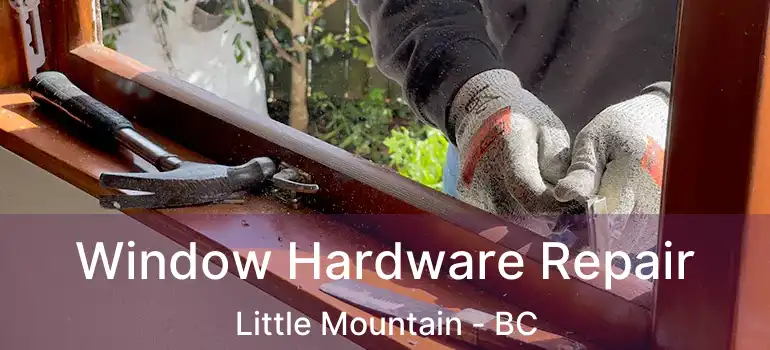  Window Hardware Repair Little Mountain - BC
