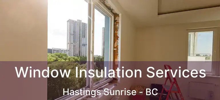  Window Insulation Services Hastings Sunrise - BC