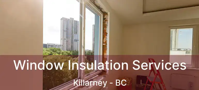 Window Insulation Services Killarney - BC