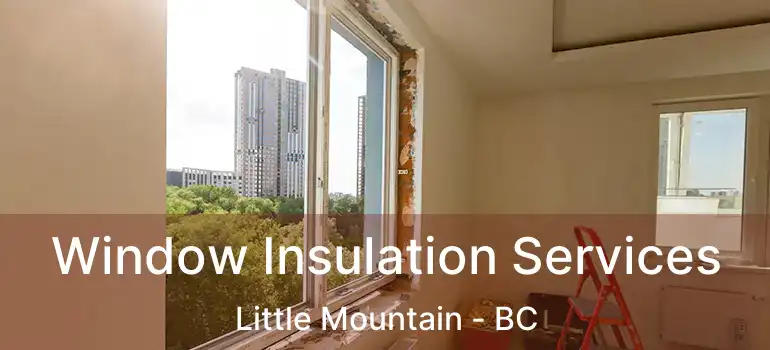  Window Insulation Services Little Mountain - BC