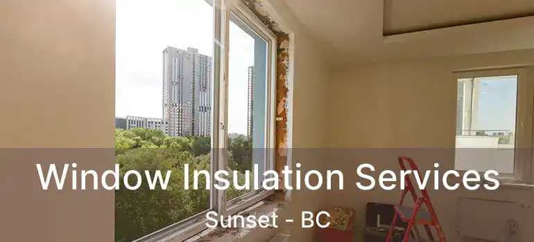  Window Insulation Services Sunset - BC