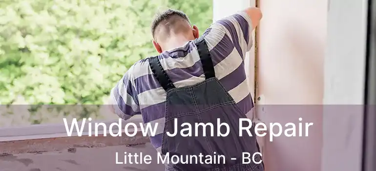  Window Jamb Repair Little Mountain - BC