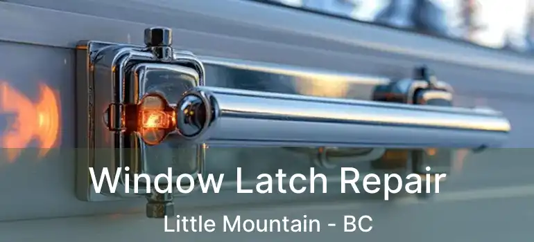  Window Latch Repair Little Mountain - BC