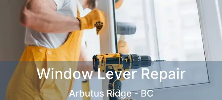  Window Lever Repair Arbutus Ridge - BC