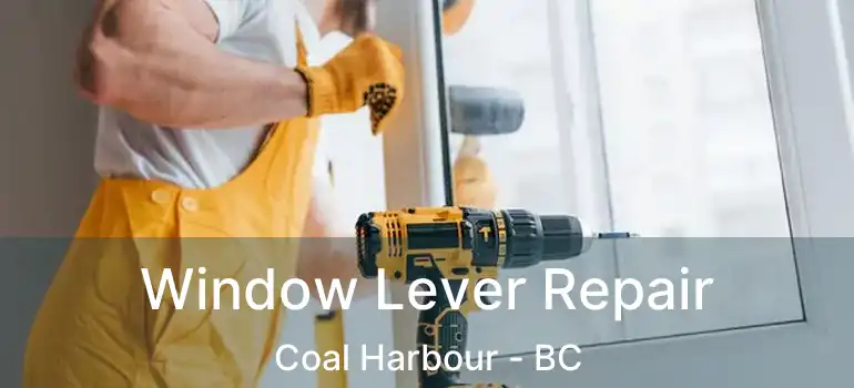  Window Lever Repair Coal Harbour - BC