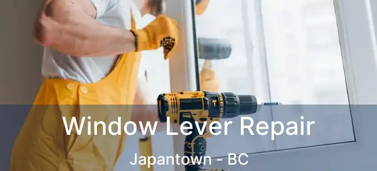  Window Lever Repair Japantown - BC