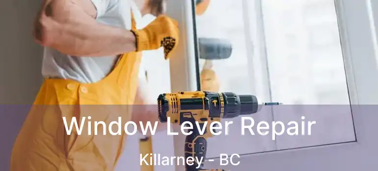  Window Lever Repair Killarney - BC